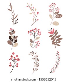 Set of vector flowers and bran. Vector floral set. Graphic collection with leaves, flowers, herbs,  drawing elements. Flat isolated vector symbols. Design for invitation or greeting cards.