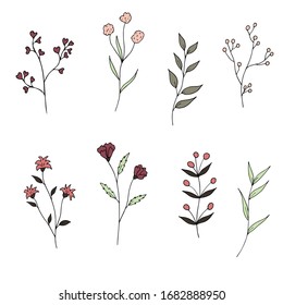 Set of vector flowers and branches in doodle style on a white background. Wild simple flowers. Isolated objects.