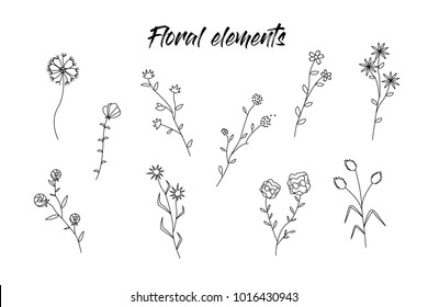 Set of vector flowers and branches with leaves, flowers. Floral sketch collection. Decorative elements for design.