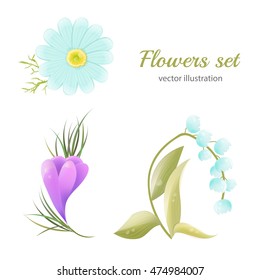 Set of vector flowers. Camomile, snowdrop, lily of the valley. Vector illustration isolated on white background.
