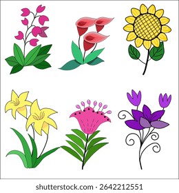 set of vector flowers, Collection of colorful vector flower images.