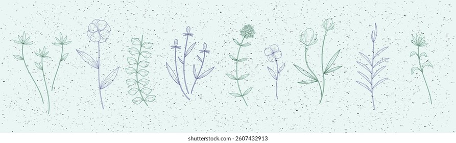 Set of vector flowers. Hand drawing. Isolated vectors