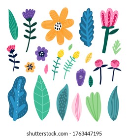 Set of vector flowers. Hand drawn elements for your design. 