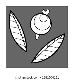Conjunto de flores vectoriales. Ilustración aislada de flores decorativas. Dibujo de vectores para tarjetas de felicitación, invitación, diseño, folleto, póster, banner, volante, impresión, papel envolvente, textiles y sitios web