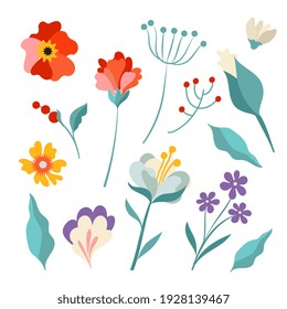 Set of vector flowers isolated on white background.