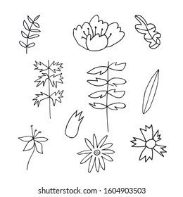 Set of vector flowers and leaves hand drawn clip art. Black line art illustration on a white isolated background. Design for wrapping paper, stickers, cards, packages and coloring.