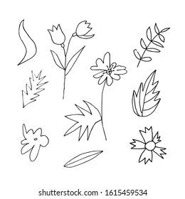 Set of vector flowers and leaves hand drawn clip art. Black line art illustration on a white isolated background. Design for wrapping paper, stickers, cards, packages and coloring.