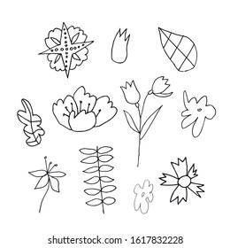 Set of vector flowers and leaves hand drawn clip art. Black line art illustration on a white isolated background. Design for wrapping paper, stickers, cards, packages and coloring.