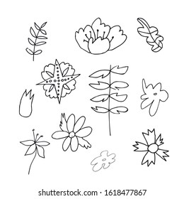 Set of vector flowers and leaves hand drawn clip art. Black line art illustration on a white isolated background. Design for wrapping paper, stickers, cards, packages and coloring.