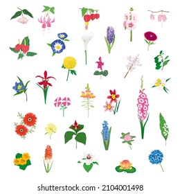 Set of vector flowers and leaves isolated on white background. Hand drawn illustration.