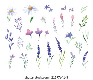 Set of vector flowers and leaves isolated on white background. Watercolor hand drawn illustration