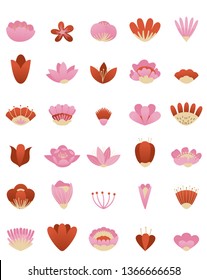Set of vector flowers. Modern drawing of vector flowers in vibrant colors