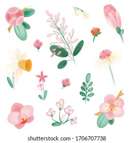 Conjunto de flores vectoriales sobre fondo blanco aislado, ilustraciones planos botánicas. Pintura de flores de primavera. Invitación pintada de mano con flores rosa, elementos DIY