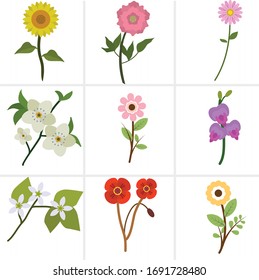 set of vector flowers on a white background