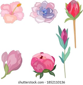 Set of vector flowers. Pastel colors. Flora poster.
