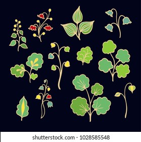 Set of vector flowers and plants on dark background