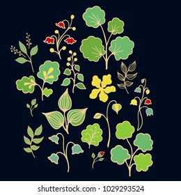 Set of vector flowers and plants on dark background