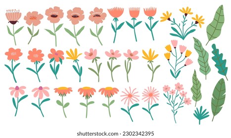 Set of vector flowers.  Spring art print with botanical elements. 