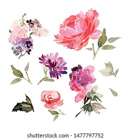 Set of vector flowers in watercolor style. Abstract branches, peony, rose.