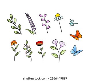 Set of vector flowers, wildflowers, foliage, bloom and blooming. Nature, plant, insects, dragonfly and butterflies, vector design and illustration