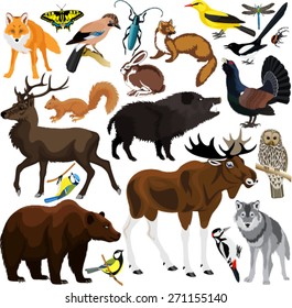 set of vector forest animals