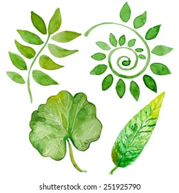 Set of vector four watercolor leaves on white background. Perfect for greetings, invitations, manufacture wrapping paper, web design.