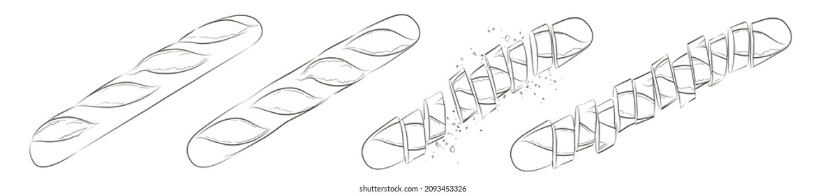 Set of vector french sliced baguette. Slices and crumbs. White long bread loaf. Rye whole grain baked bread. Logo, icon. sketch realistic line vintage illustration. Top view