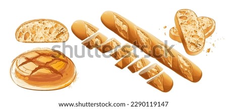 Set of vector french sliced baguette. Slices and crumbs. White long bread loaf. Rye whole grain baked bread. Logo, icon. sketch realistic line vintage illustration. Top view