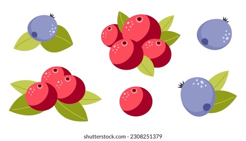 Set of vector fresh berries with leaves isolated on a white background. Cute cartoon illustration of organic food. Berry collection