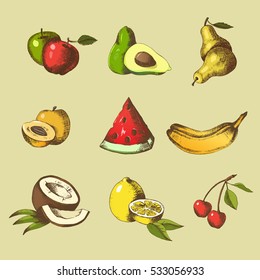 Set of vector fruit hand-drawn in color. Vintage. Sketch, engraving, hatching.