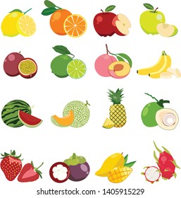 set of vector fruit. vector illustration of fruits.