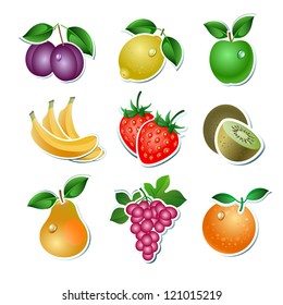 Set of vector fruit on the white background