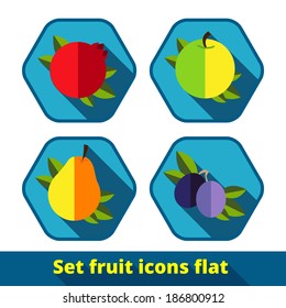 Set of vector fruit style icons flat. Granat, apple, pear, plum.