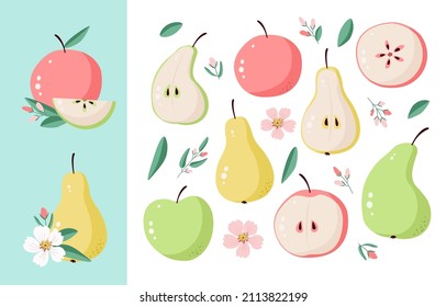 Set of vector fruits - apples, pears, twigs with flowers and leaves. Fruit on an isolated background, drawn in flat style. Spring blooming buds. Slice of apple and pear. Fruit cutaway with seeds