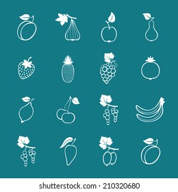 Set of vector fruits and berries. Hand drawn fruits and berries icons.