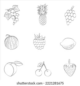 A set of vector fruits of a thin line.
