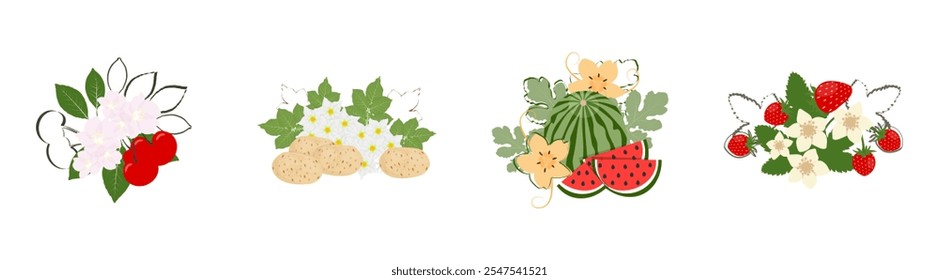 Conjunto de frutas e legumes vetoriais isolados em um fundo branco. Ilustração vetorial