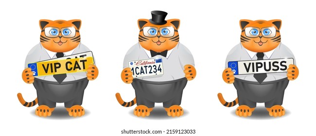 Set of vector funny cartoon fat cats in clothes with different car numbers in their paws. VIP puss. European and american car plate numbers