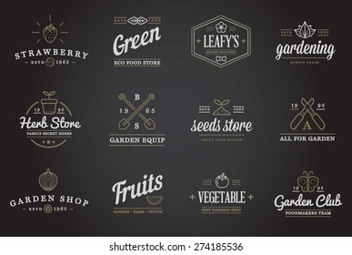 Set of Vector Garden and Farm Elements and Fruits or Vegetables Icons Illustration can be used as Logo or Icon in premium quality
