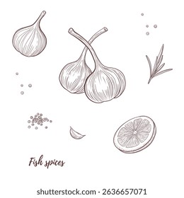 Conjunto de arte vetor linha de alho, limão, alecrim, pimenta preta ervas tempero medicina de saúde. especiarias de alho para peixes para cozinhar. Gravura. Colhe. Ótimo para qualquer design, têxtil, menu, embalagem
