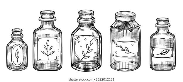Set of vector Glass Bottles with herb labels. Hand-drawn vintage illustration of kitchen containers in linear style for culinary projects, herbal packaging, apothecary visuals, and organic branding.