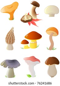 set of vector glossy forest mushrooms