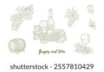 Set of vector grape branches with grapes and leaves and glass of wine, barrel, line art illustration, hand-drawn graphic line vine. Grapes hanging branch. Vine grapes. Great for any designs, packaging