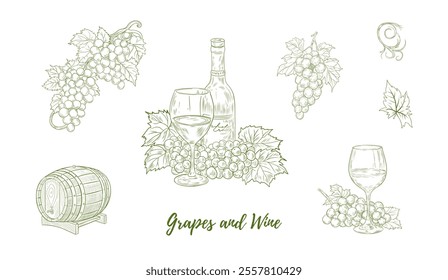 Set of vector grape branches with grapes and leaves and glass of wine, barrel, line art illustration, hand-drawn graphic line vine. Grapes hanging branch. Vine grapes. Great for any designs, packaging