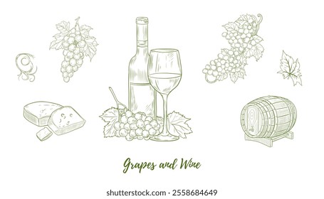 Set of vector grape branches with grapes and leaves and glass of wine, barrel, line art illustration, hand-drawn graphic line vine. Grapes hanging branch. Vine grapes. Great for any designs, package