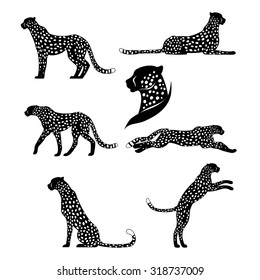 Set of vector graphic cheetahs. Spotted wild cats for your design.