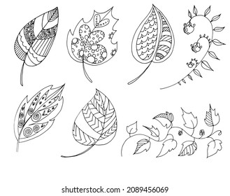 a set of vector graphic drawings of flowers and leaves in an ethnic style