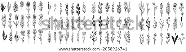 Set of\
vector graphic elements for design. hand drawn floral frame\
ornaments set, arrows, leaves, flowers,\
flourishes