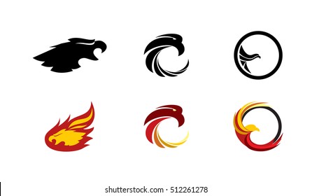 Set of vector graphic elements for the logo with an eagle or phoenix