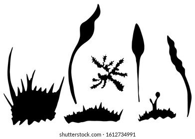 Set of Vector grass and plant silhouettes. Vector hand drawn illustration on a white background. Perfect for invitations, greeting cards, print, flyers, posters.